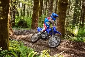 2026 Yamaha TT-R125LE - Image 22