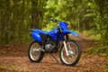 2026 Yamaha TT-R230 - Image 12